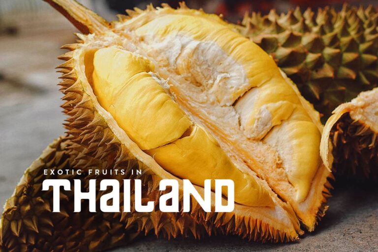 Fruit in Thailand: Exploring Tropical Fruit Varieties