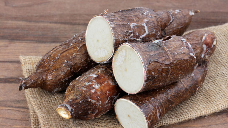 Cassava vs Potato: Comparing Starchy Roots